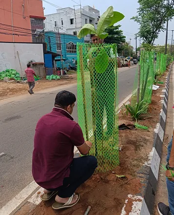 Trees for Urban Lives
